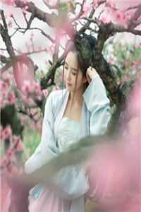 枯木不再生花，你我陌路天涯傅书意简慕寒全文免费
